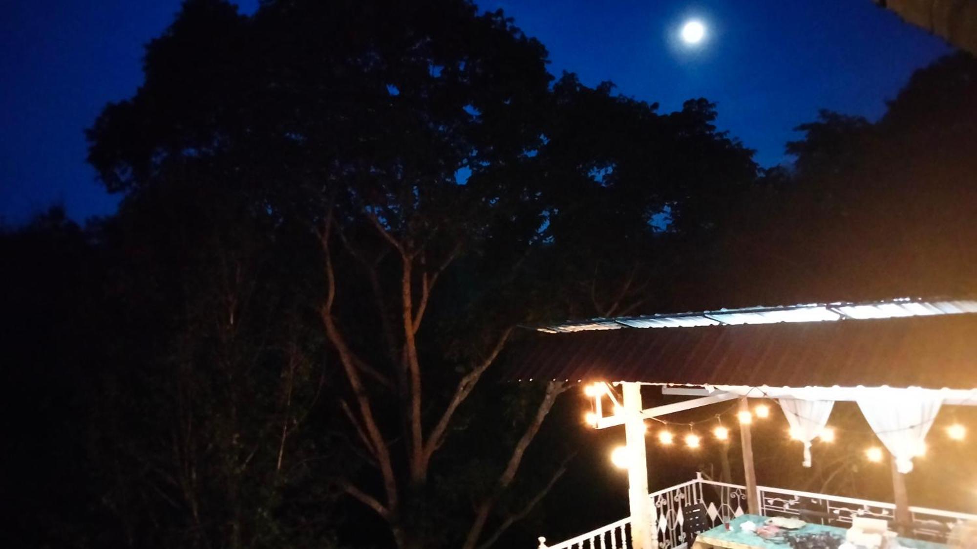Balmy Hideout Cafe & Homestay Ban Huai Kaeo Luaran gambar