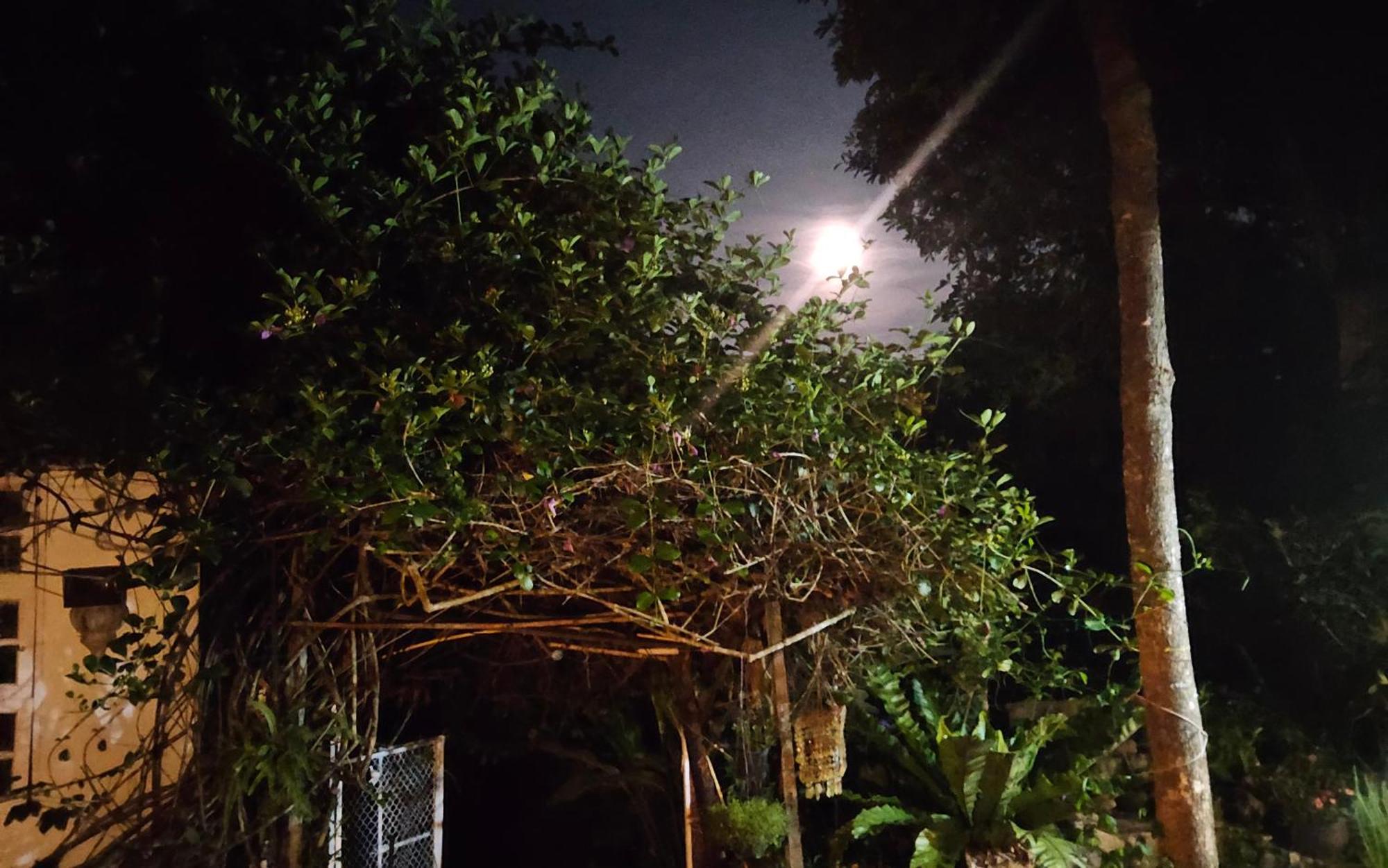 Balmy Hideout Cafe & Homestay Ban Huai Kaeo Luaran gambar