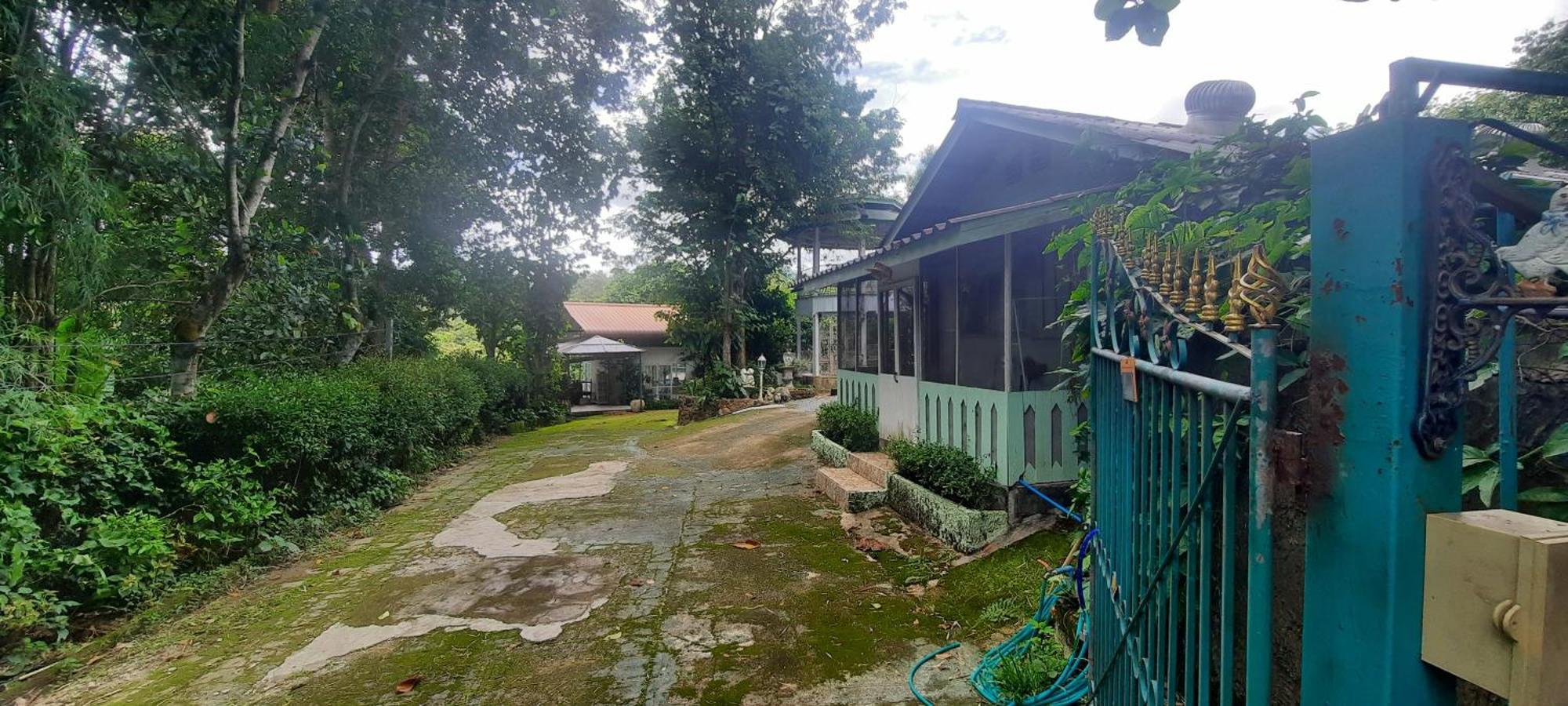 Balmy Hideout Cafe & Homestay Ban Huai Kaeo Luaran gambar