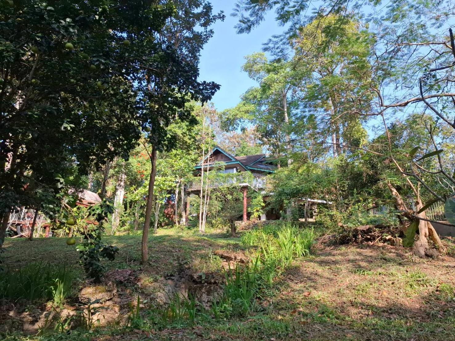Balmy Hideout Cafe & Homestay Ban Huai Kaeo Luaran gambar