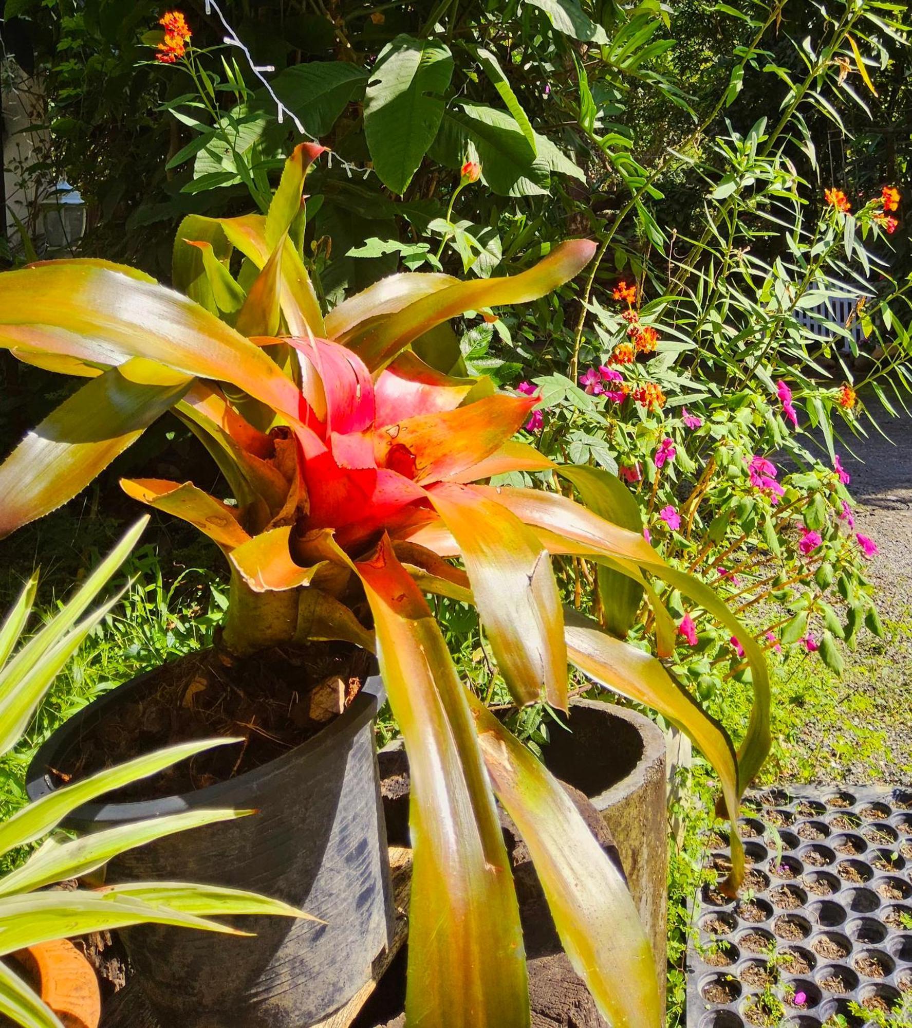 Balmy Hideout Cafe & Homestay Ban Huai Kaeo Luaran gambar
